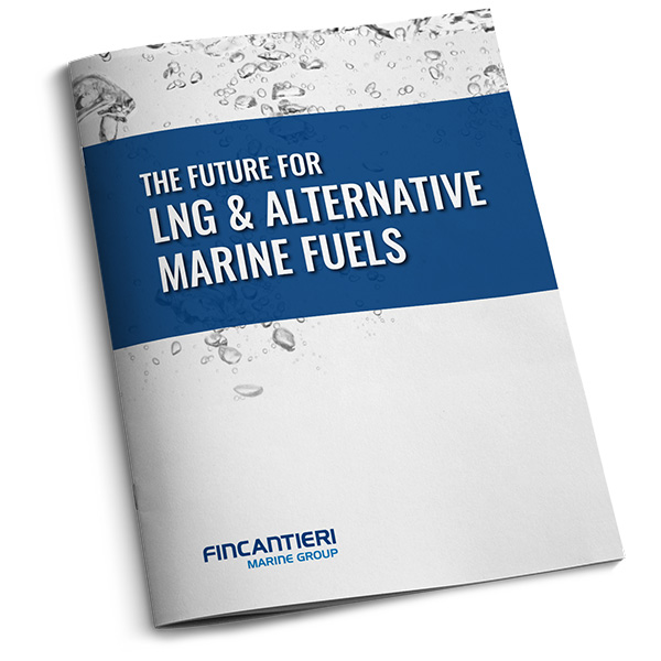 FMG Guide: The Future for LNG & Alternative Marine Fuels
